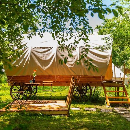 Dragonfly Gardens - The Wagons Hotel บราชอฟ ภายนอก รูปภาพ