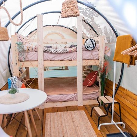 Dragonfly Gardens - The Wagons Hotel บราชอฟ ภายนอก รูปภาพ