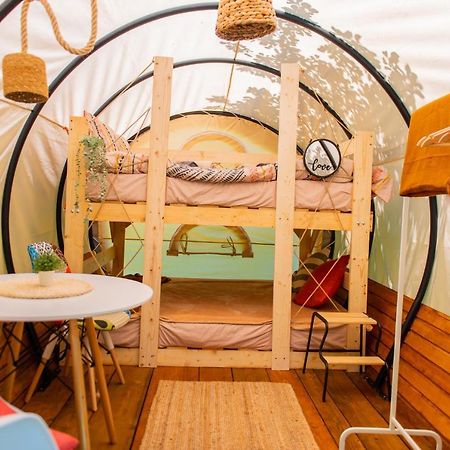 Dragonfly Gardens - The Wagons Hotel บราชอฟ ภายนอก รูปภาพ