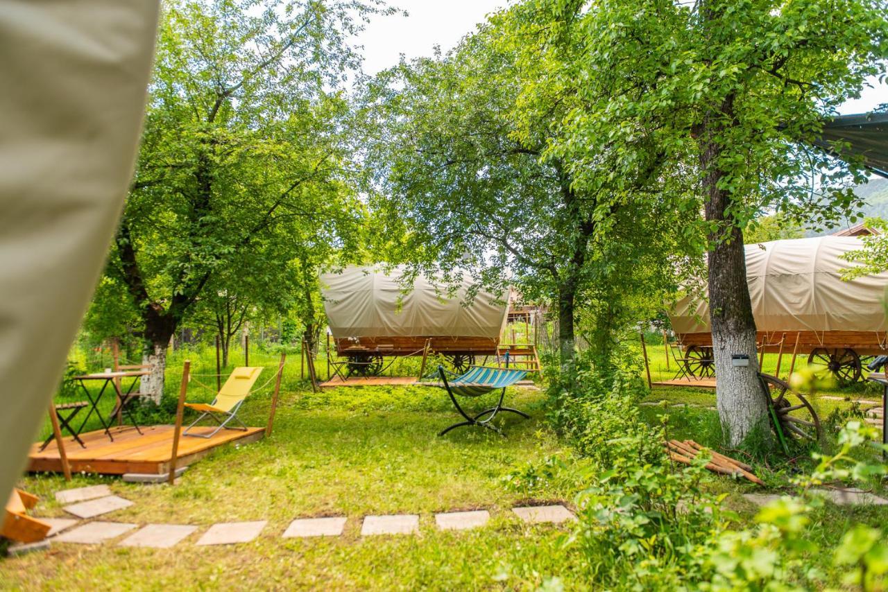 Dragonfly Gardens - The Wagons Hotel บราชอฟ ภายนอก รูปภาพ