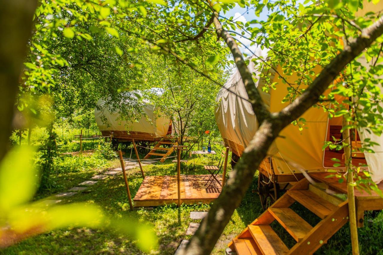 Dragonfly Gardens - The Wagons Hotel บราชอฟ ภายนอก รูปภาพ