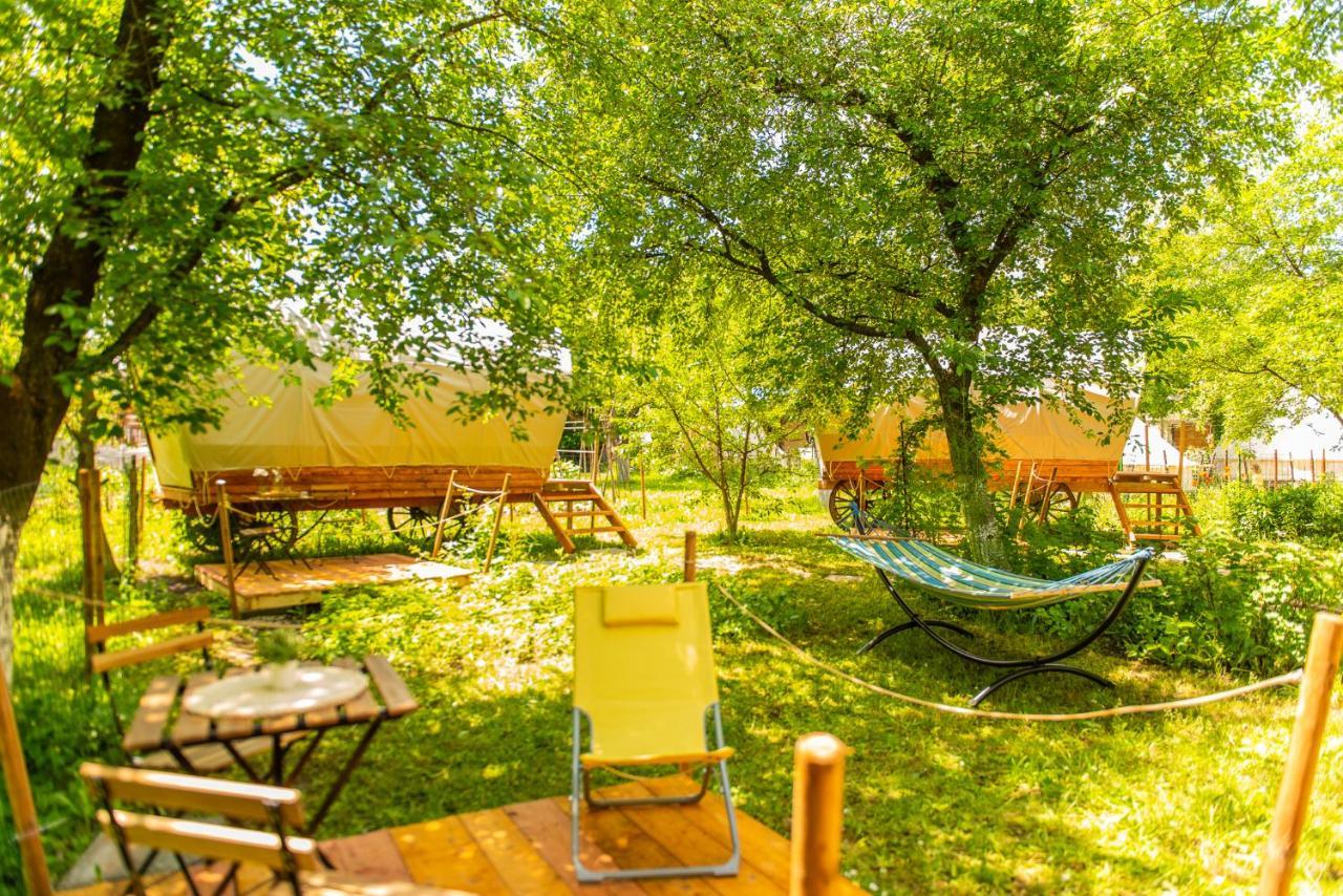 Dragonfly Gardens - The Wagons Hotel บราชอฟ ภายนอก รูปภาพ