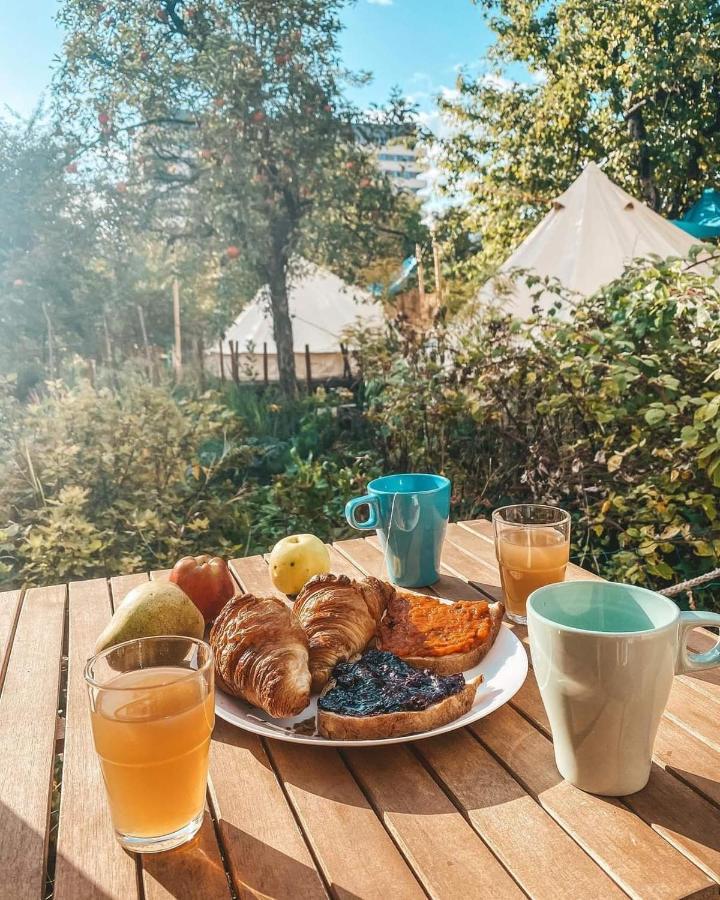Dragonfly Gardens - The Wagons Hotel บราชอฟ ภายนอก รูปภาพ