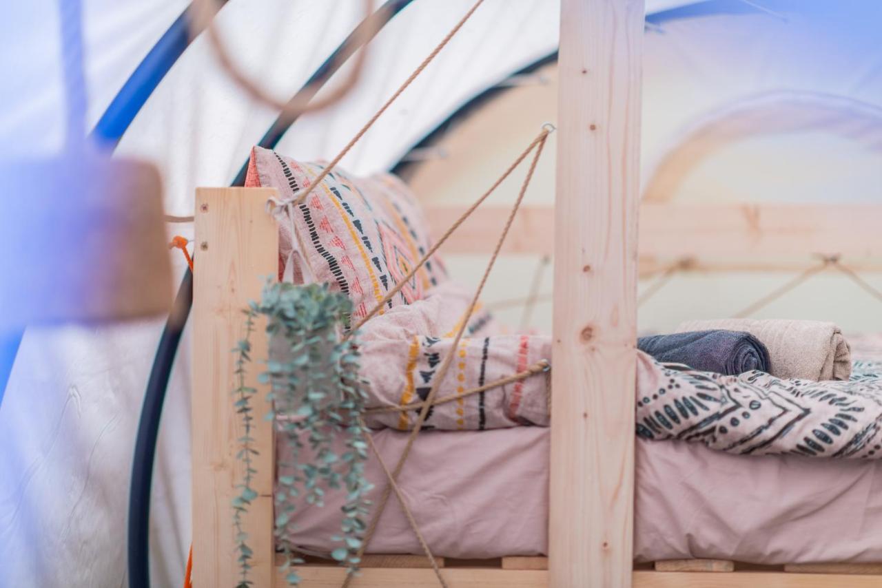 Dragonfly Gardens - The Wagons Hotel บราชอฟ ภายนอก รูปภาพ