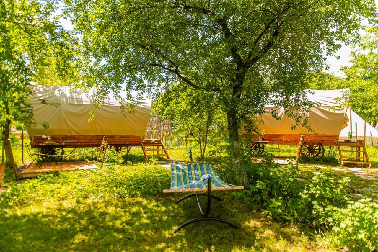 Dragonfly Gardens - The Wagons Hotel บราชอฟ ภายนอก รูปภาพ