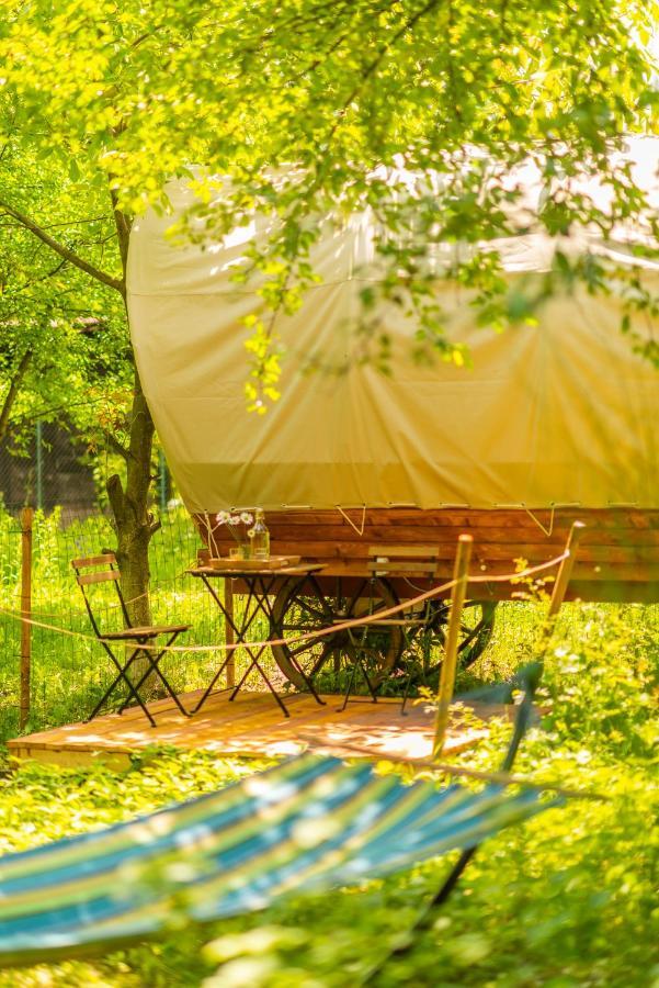 Dragonfly Gardens - The Wagons Hotel บราชอฟ ภายนอก รูปภาพ