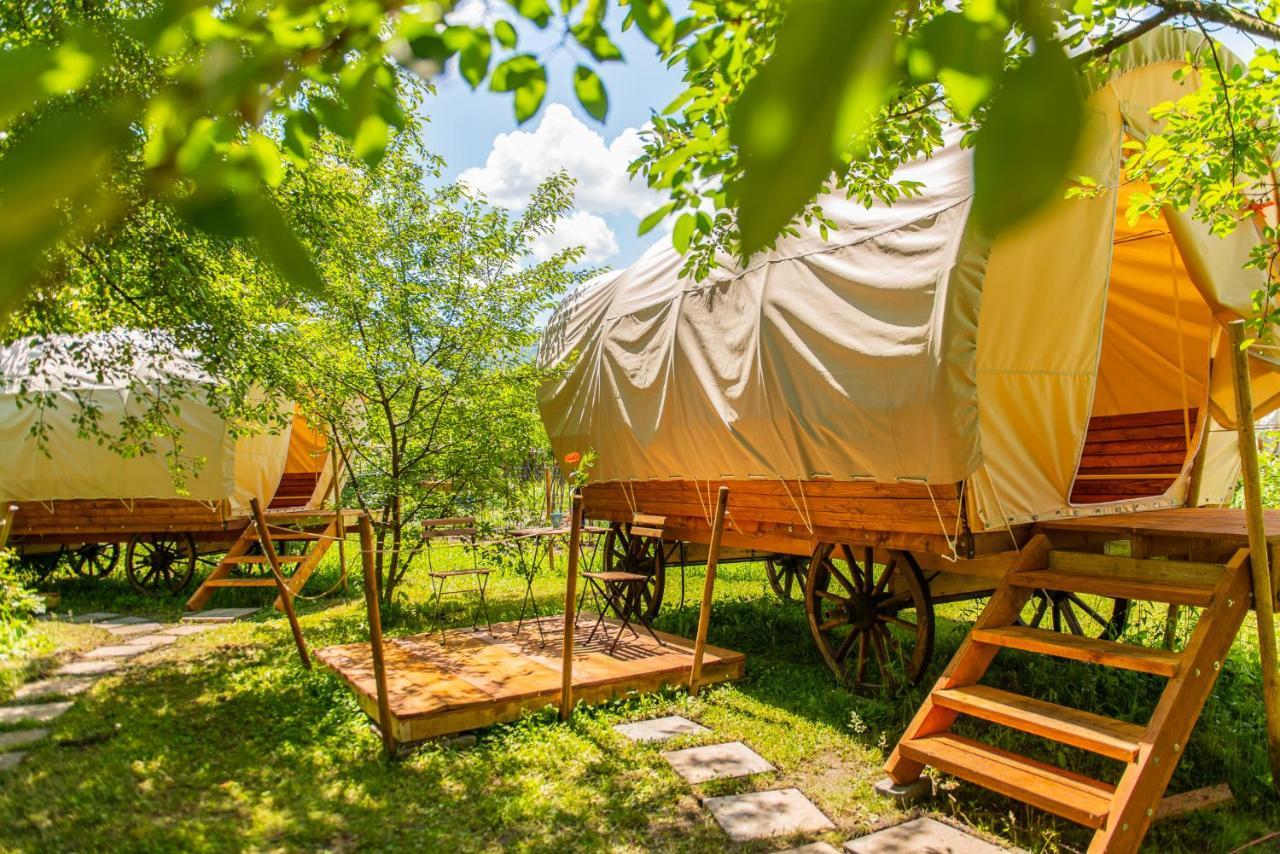 Dragonfly Gardens - The Wagons Hotel บราชอฟ ภายนอก รูปภาพ
