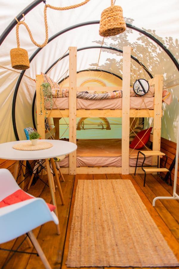 Dragonfly Gardens - The Wagons Hotel บราชอฟ ภายนอก รูปภาพ