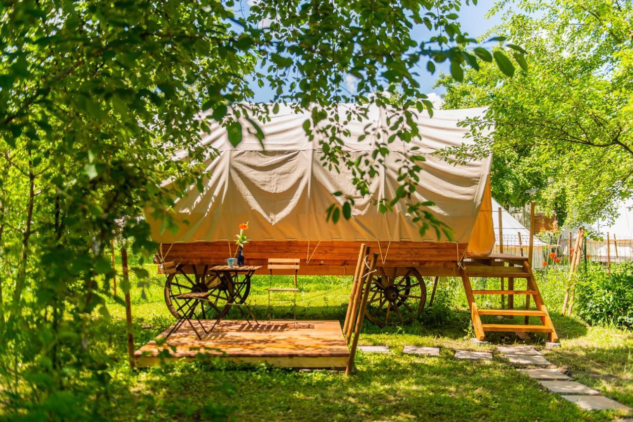 Dragonfly Gardens - The Wagons Hotel บราชอฟ ภายนอก รูปภาพ