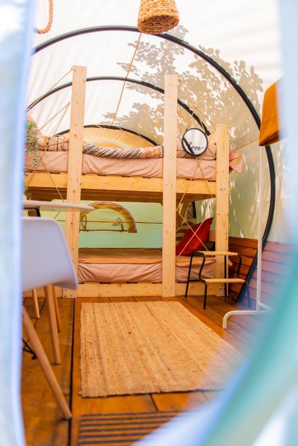 Dragonfly Gardens - The Wagons Hotel บราชอฟ ภายนอก รูปภาพ
