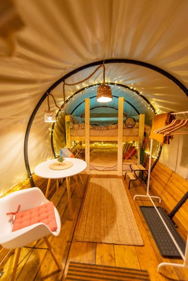 Dragonfly Gardens - The Wagons Hotel บราชอฟ ภายนอก รูปภาพ
