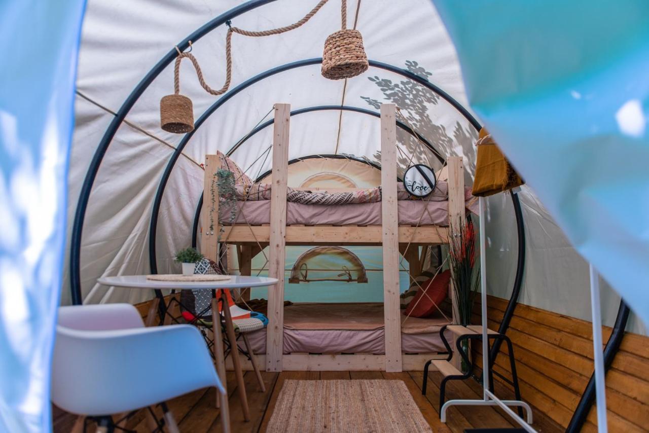 Dragonfly Gardens - The Wagons Hotel บราชอฟ ภายนอก รูปภาพ