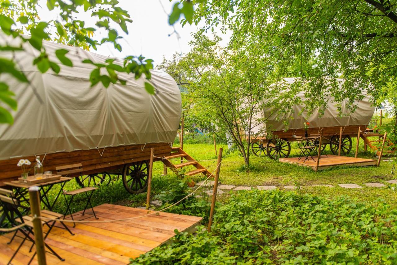 Dragonfly Gardens - The Wagons Hotel บราชอฟ ภายนอก รูปภาพ