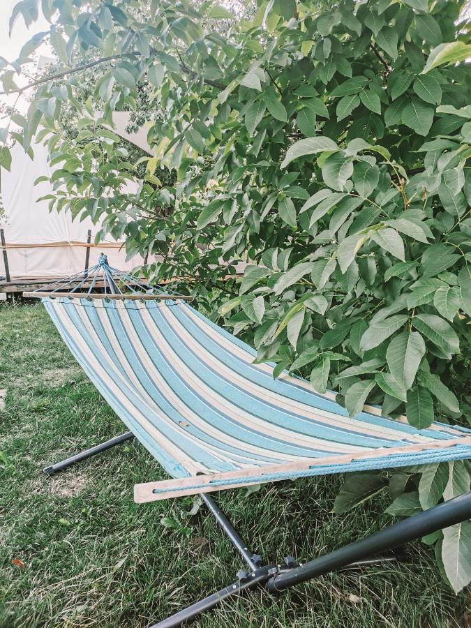 Dragonfly Gardens - The Wagons Hotel บราชอฟ ภายนอก รูปภาพ