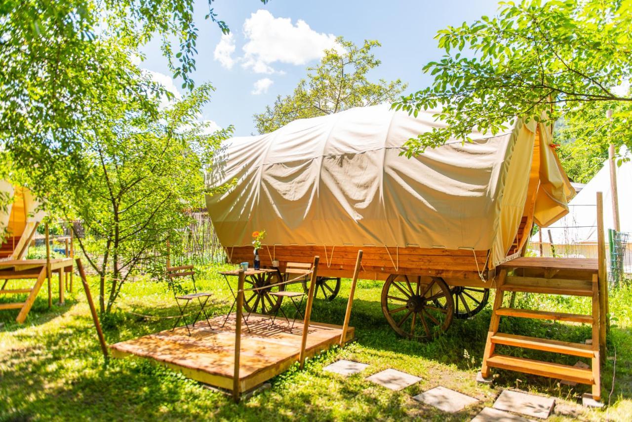 Dragonfly Gardens - The Wagons Hotel บราชอฟ ภายนอก รูปภาพ