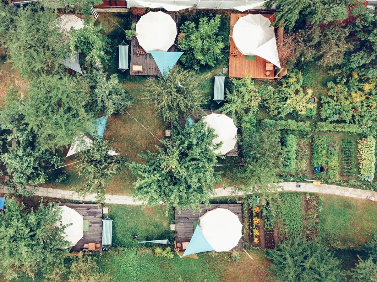 Dragonfly Gardens - The Wagons Hotel บราชอฟ ภายนอก รูปภาพ