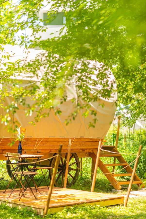 Dragonfly Gardens - The Wagons Hotel บราชอฟ ภายนอก รูปภาพ