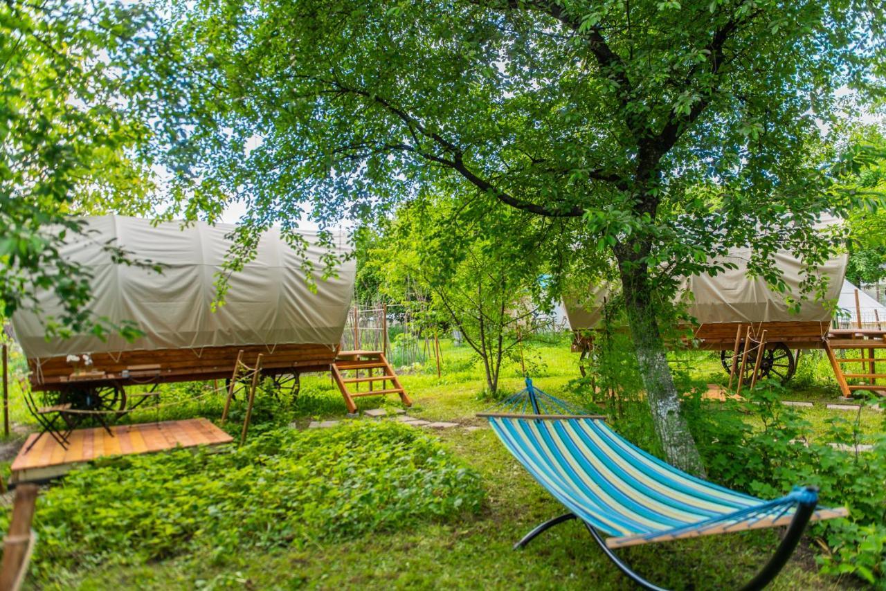 Dragonfly Gardens - The Wagons Hotel บราชอฟ ภายนอก รูปภาพ