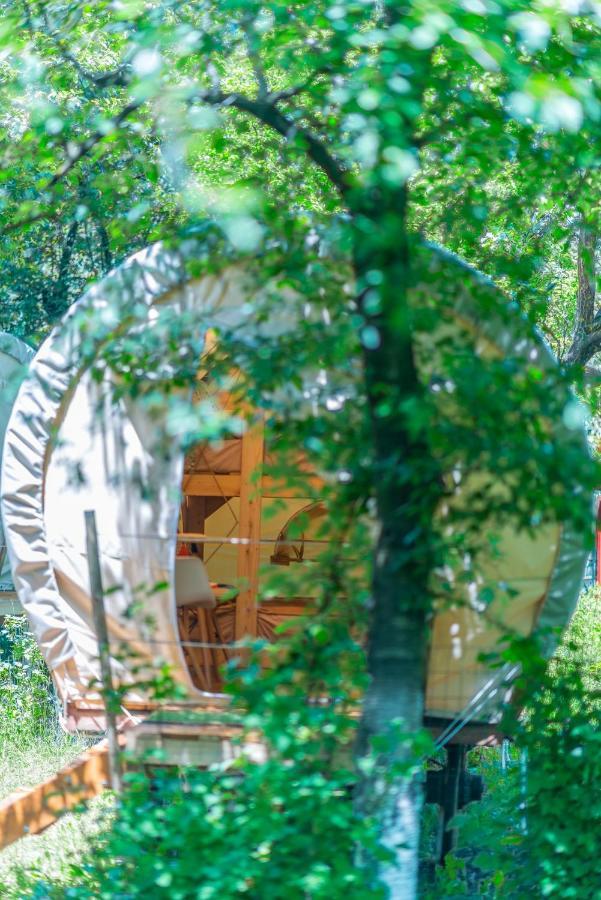 Dragonfly Gardens - The Wagons Hotel บราชอฟ ภายนอก รูปภาพ