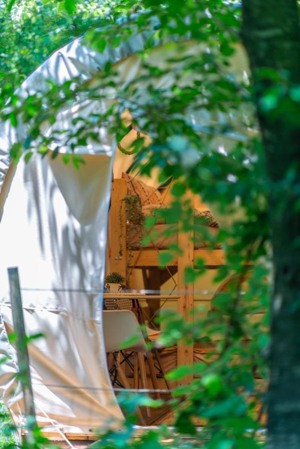 Dragonfly Gardens - The Wagons Hotel บราชอฟ ภายนอก รูปภาพ