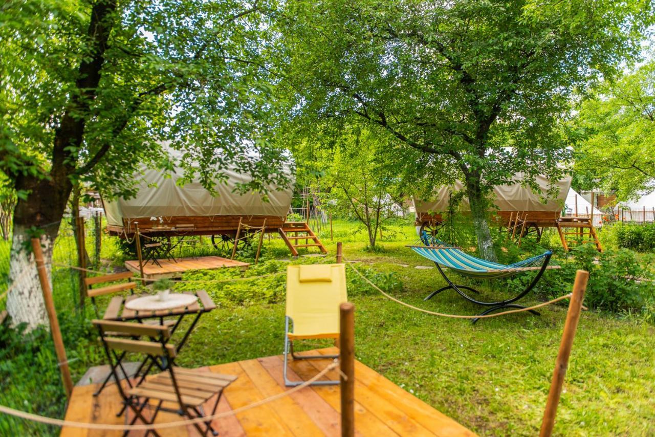 Dragonfly Gardens - The Wagons Hotel บราชอฟ ภายนอก รูปภาพ