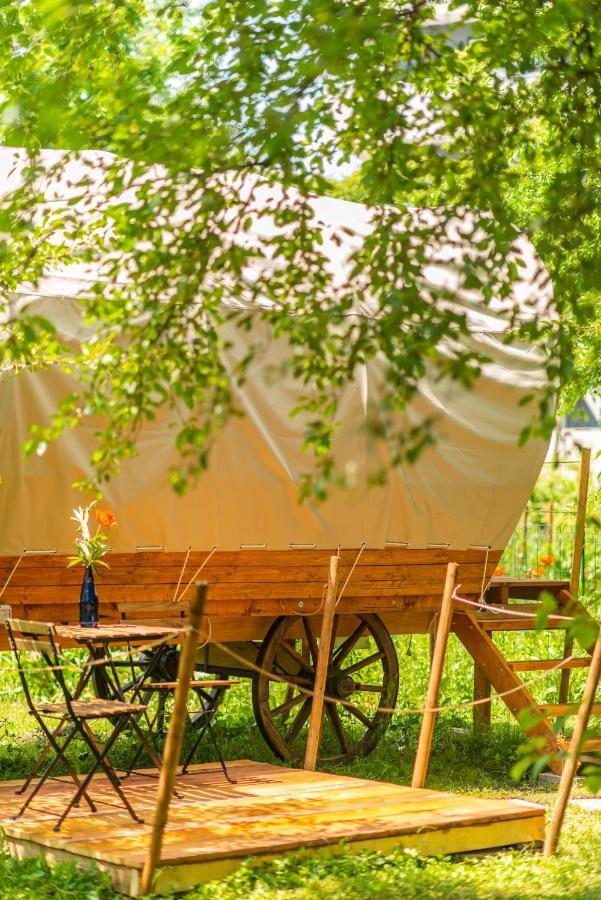 Dragonfly Gardens - The Wagons Hotel บราชอฟ ภายนอก รูปภาพ