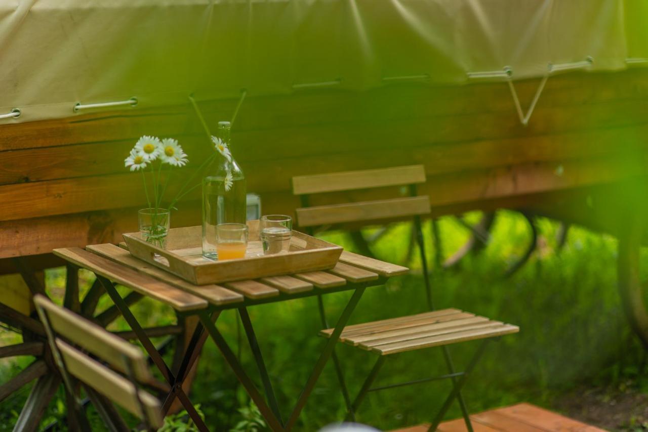 Dragonfly Gardens - The Wagons Hotel บราชอฟ ภายนอก รูปภาพ