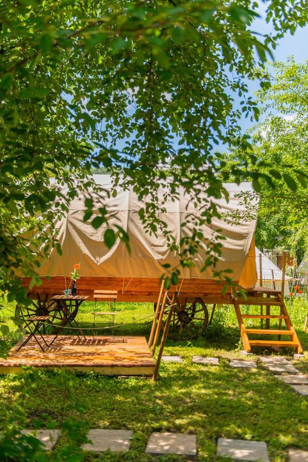 Dragonfly Gardens - The Wagons Hotel บราชอฟ ภายนอก รูปภาพ