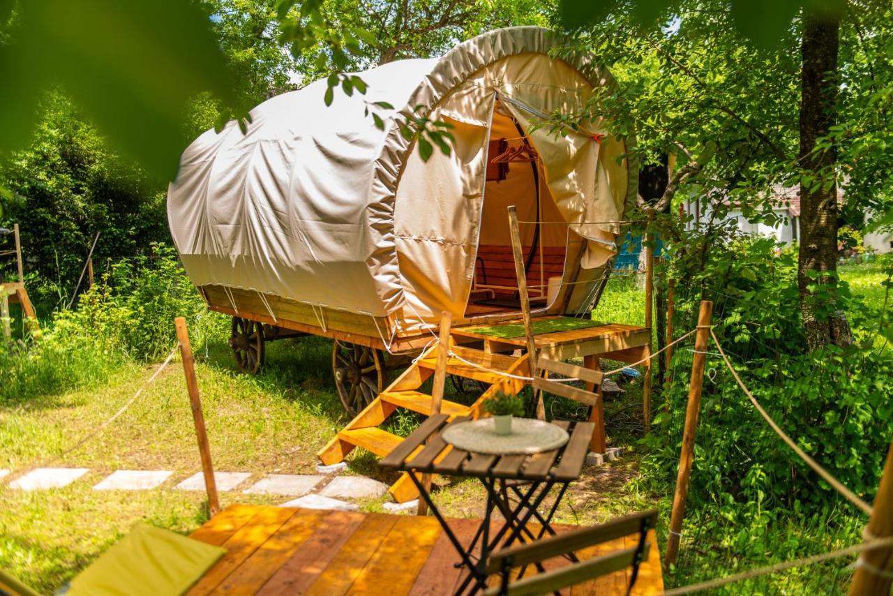 Dragonfly Gardens - The Wagons Hotel บราชอฟ ภายนอก รูปภาพ