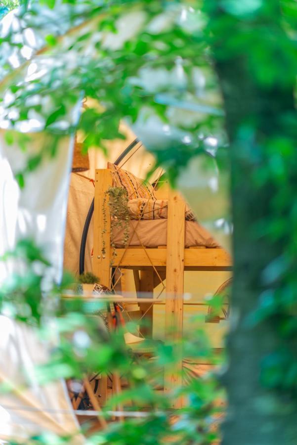 Dragonfly Gardens - The Wagons Hotel บราชอฟ ภายนอก รูปภาพ