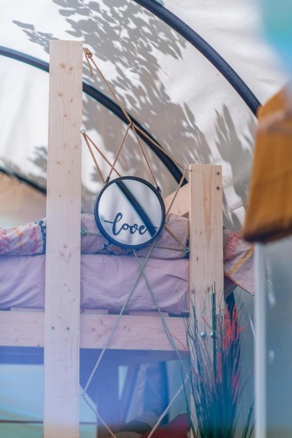 Dragonfly Gardens - The Wagons Hotel บราชอฟ ภายนอก รูปภาพ