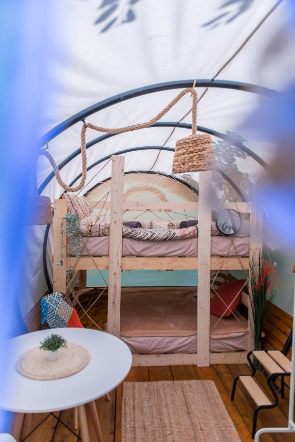 Dragonfly Gardens - The Wagons Hotel บราชอฟ ภายนอก รูปภาพ