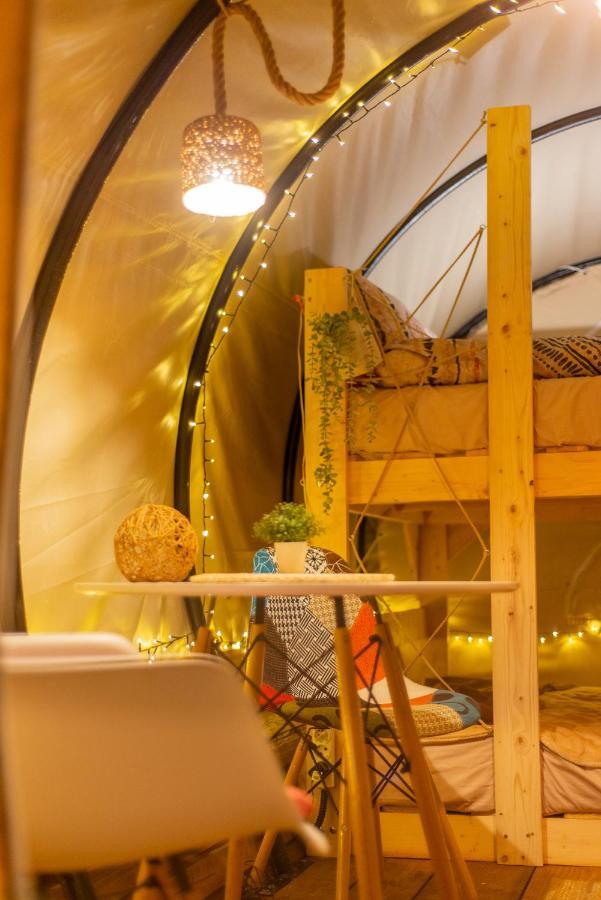 Dragonfly Gardens - The Wagons Hotel บราชอฟ ภายนอก รูปภาพ