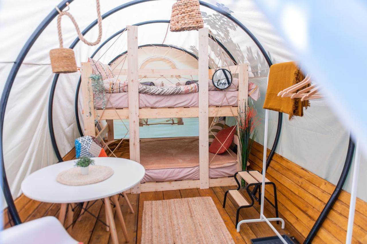 Dragonfly Gardens - The Wagons Hotel บราชอฟ ภายนอก รูปภาพ