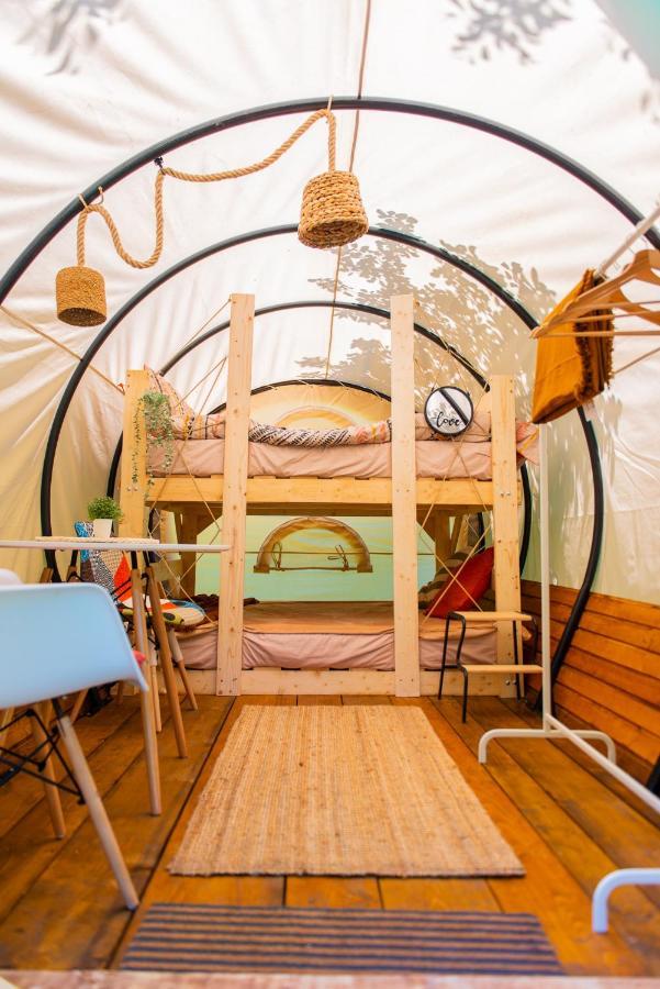 Dragonfly Gardens - The Wagons Hotel บราชอฟ ภายนอก รูปภาพ