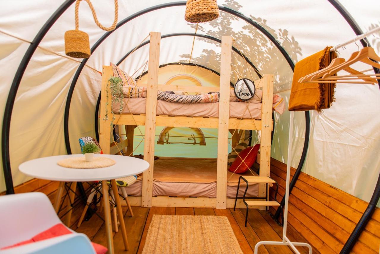 Dragonfly Gardens - The Wagons Hotel บราชอฟ ภายนอก รูปภาพ