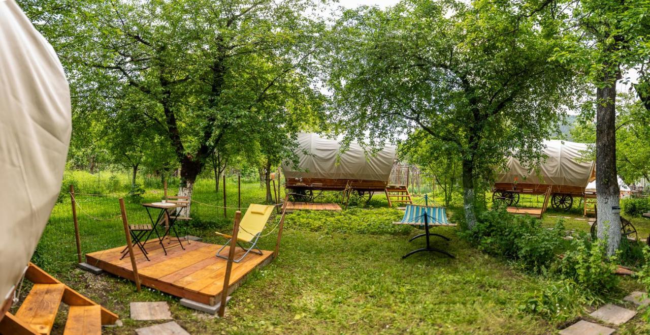Dragonfly Gardens - The Wagons Hotel บราชอฟ ภายนอก รูปภาพ